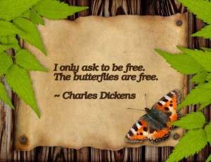BUTTERFLY QUOTES - Google Search