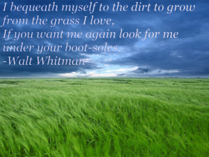 Walt Whitman Quotes - Pics For > Walt Whitman Quotes In The Notebook