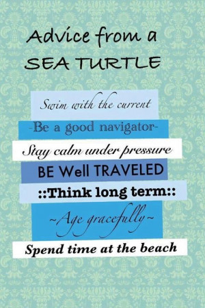sea turtle scrap page