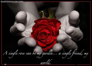 Single Rose Can Be My Garden… A Single Friend My World