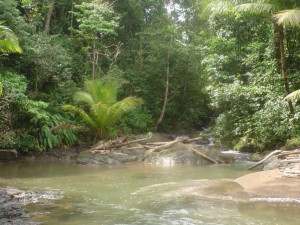 River-at-Corcovado-National-Park-DrakeBay-Wilderness-Resort ...