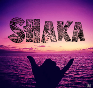 surfahboi: The Origins of Shaka