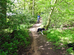 ... up behind duns castle rowan doesn t walk to the lead very well and