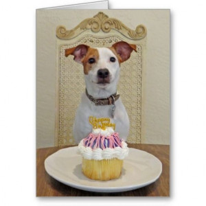Happy Birthday Jack Russell Terrier