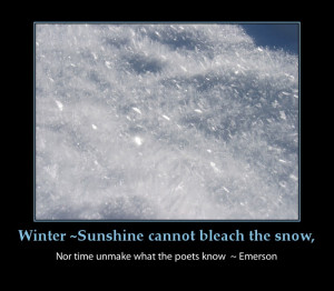 winter beautiful snow-inspirational poster