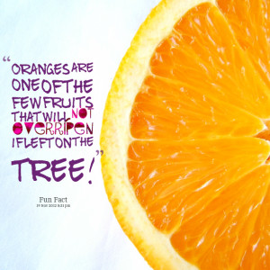 Quotes Picture: oranges are one of the few fruits that will not ...