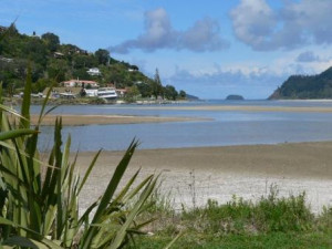 Inlet Between Paku And Pauanui