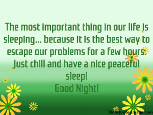Nice peaceful sleep! Good Night...