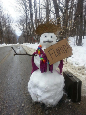 ... Cold is It? It's So Cold Even This Snowman is Hitchhiking to Florida