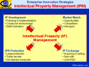 INTELLECTUAL PROPERTY PROTECTION QUOTES
