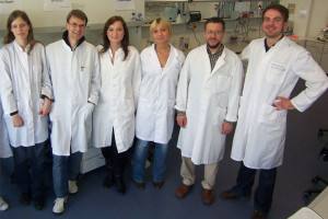 Biologie-Studenten und Stammzellenforscher arbeiten im Team (v. li ...