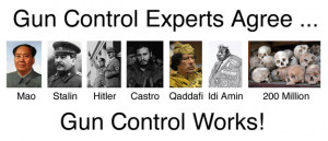 The Gun Control Experts Agree ...