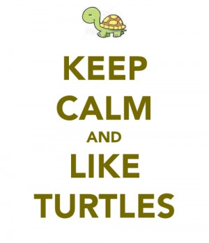 Keep calm and turtle on!
