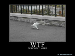 Posted by Eraovius on marzo - 4 - 2013