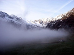 cassius clay vs. sonny liston wiki cassius ellis kronfeld