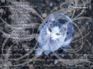 Funny Quotes and/or sayings »