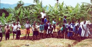 School garden, Uganda, supported by the Church of Uganda