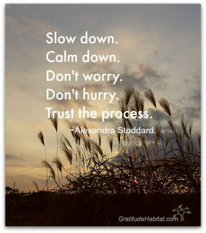 Slow down …trust the process.