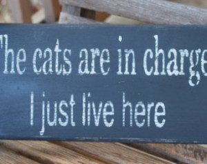 ... Rustic, Wall Sign, Funny Quote, Home Quote, Hand Painted, Home Decor