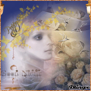 Funny Quotes Contact Dmca...