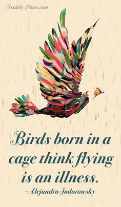 Positive Quote: Birds born in a cage think flying is an illness www ...