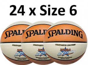 These are the wnba all star pro basketball spalding Pictures