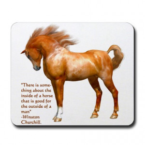 Horse Quotes Fridge Magnets | Horse Quotes Refrigerator Magnets ...