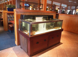 michael b jordan steelo brim