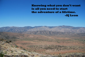 Knowing what you don't want is all you need to start the adventure of ...