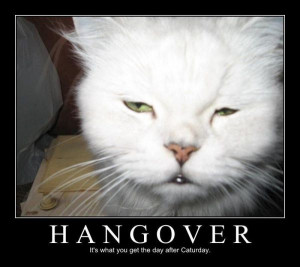 Hangover Funny pictures