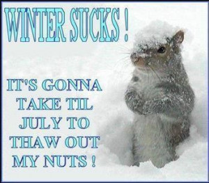 winter sucks quotes winter snow cold squirrel winter quotes