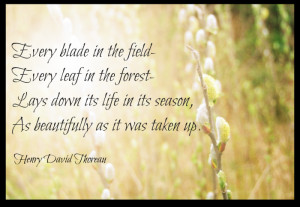 thoreau-quote