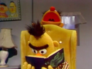 are there any rubber duckies in the book bert bert