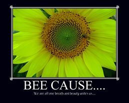 BEE Cause...