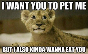 Funny animals with quotes