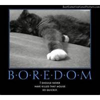 Boredom Quotes Best Demotivational Posters