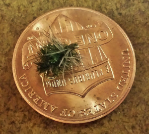 The minutiae of winter....