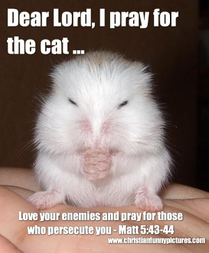 Dear Lord, I pray for the cat ...
