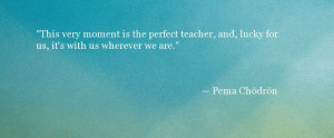 Pema Chodron Quote - Perfect Teacher - Oprah.com