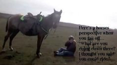 falling off horse quotes falling off horse quotes