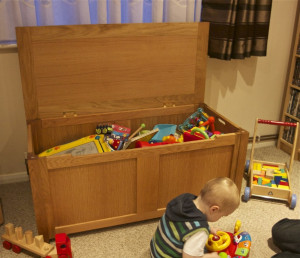 Large Toy Boxes