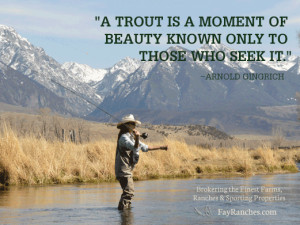 Fly Fishing Trout Quotes