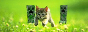 Minecraft Creeper vs Gato Facebook Portada 97062 reproducciones