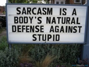 ... quotes sarcasm quotes about life insulting you sarcasm sarcastic crap