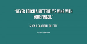 Never touch a butterfly's wing with your finger.