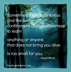 David Whyte Quotes