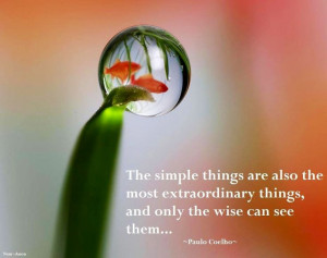 simple things quotes