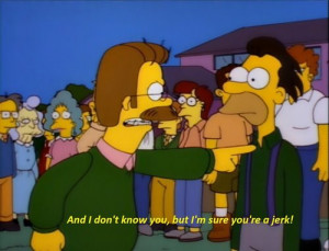 the simpsons ned flanders