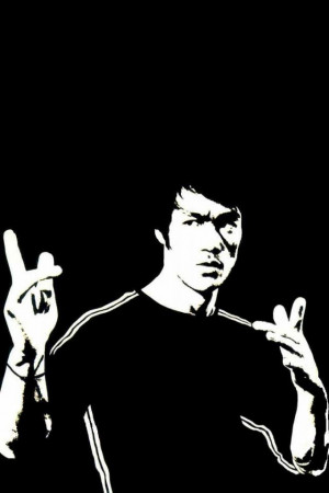 Beautiful Bruce Lee Wallpaper | HD Desktop Wallpaper ~ Desktopaper.