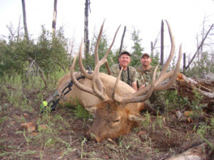 Elk Hunting Number 42